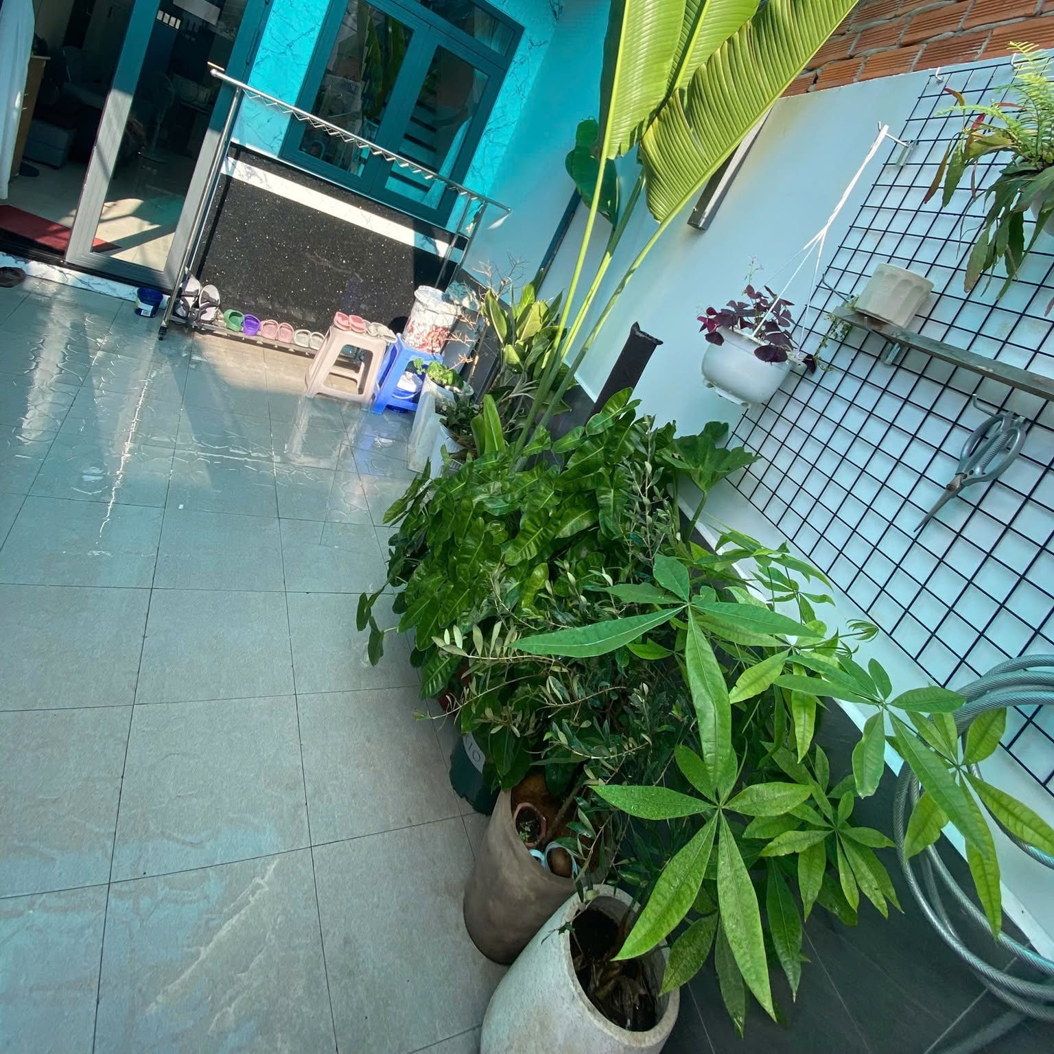Sàn sân vườn sạch bóng, hết rêu mốc sau khi vệ sinh
